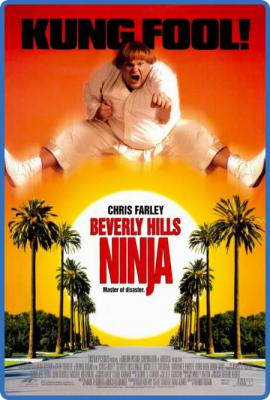Beverly Hills Ninja 1997 1080p WEB-DL H265 5 1 BONE