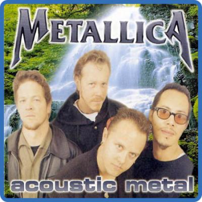 Metallica - Acoustic Metal