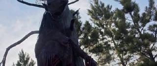 Чернолесье (2022)