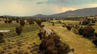 Как же он? (2022)