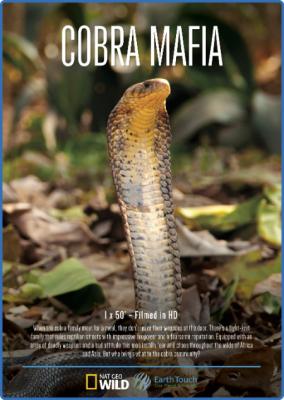 Cobra Mafia 2015 1080p WEBRip x264-RARBG