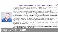 Половые гормоны (2022/PCRec/Rus)