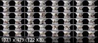 StockingsVR - Anna Rose, Alexis Krystal - Strap On Lesbos (UltraHD 2K/1380p/1.90 GB)