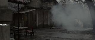 Мамонга (2019)