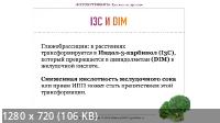 ФИТОНУТРИЕНТЫ: Еда как лекарство. Практический курс по функциональному питанию (2022/PCRec/Rus)