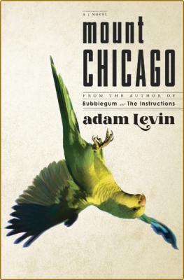 Mount Chicago by Adam Levin 