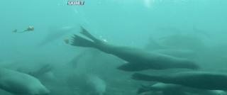 Мне снится психопомп (2022)