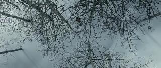 Охота на Еву Браво (2022)