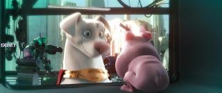 Суперпитомцы (2022)