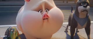 Суперпитомцы (2022)