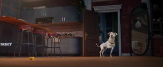 Суперпитомцы (2022)