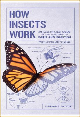 How Insects Work _c589d4560171b8d7fed8b39202ade99c