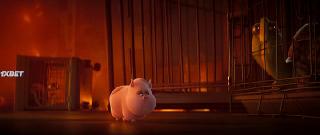 Суперпитомцы (2022)