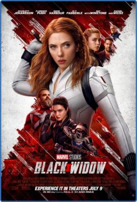 Black Widow 2021 BluRay 1080p DTS-HD MA 7 1 AC3 x264-MgB