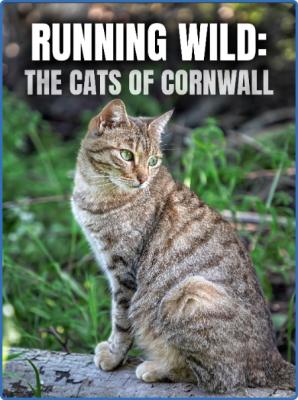 Running Wild The Cats of CornwAll 2020 1080p WEBRip x265-RARBG