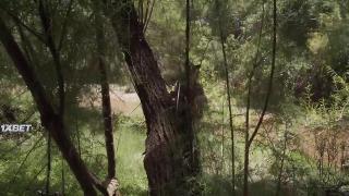 Город притч (2021)