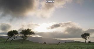 В дорогу(2021)