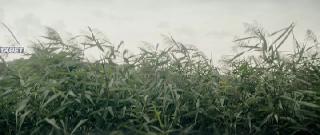 Негатив (2022)