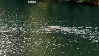 Два корабля (2021)