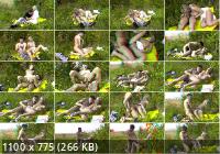 3dwowmovies - Russian Girl - 3D Outdoor (FullHD/1080p/1.40 GB)