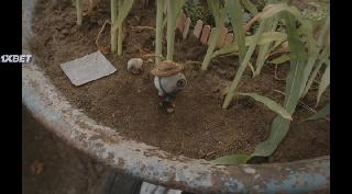 Марсель, ракушка в ботинках (2021)