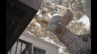 Марсель, ракушка в ботинках (2021)