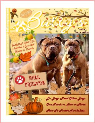 Bullys The Bulldog Magazine-Fall 2022