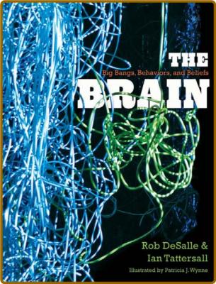 The Brain Big Bangs Behaviors and Beliefs _23996c3ed8de53a73f0c7f1ed3d85f91