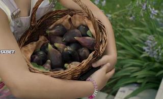 Алькаррас (2022)