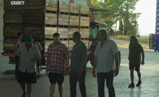 Алькаррас (2022)