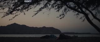 Сокольничий (2021)