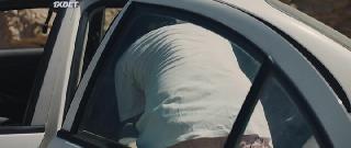 Сокольничий (2021)