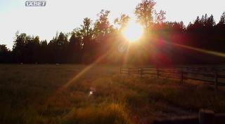 Романтика Йеллоустоуна (2022)