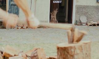 Таракан (2022)