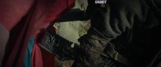 Скрытый лис (2022)