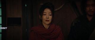 Скрытый лис (2022)