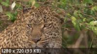 - / Maasai Mara (2020) WEBRip 720p