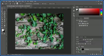 UDEMY Adobe Photoshop CC Fundamentals and Essentials Training