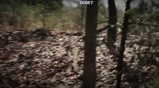 Крик совы (2022)