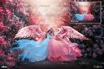 Design Bundles - Pink Angel Wing overlay / Photoshop overlay (PNG)