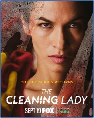The Cleaning Lady S02E03 720p WEB x265-MiNX