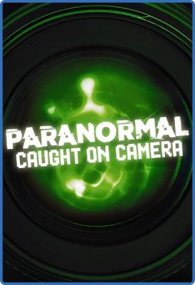 Paranormal Caught on Camera S05E17 Utah Sasquatch and More 1080p HEVC x265-MeGusta