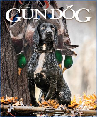 Gun Dog - November 2022