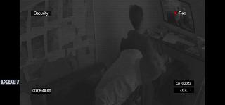 Полотно (2021)