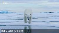     / Alaska and the Wilds Beyond (2021) HDTVRip