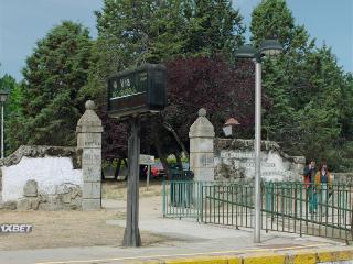 Вы должны это увидеть (2022)