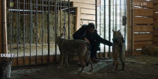 Любовь в Санкт-Петербурге (2019)