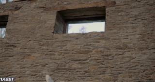 Шагни вперед (2022)