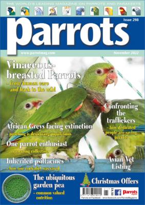 Parrots – November 2022
