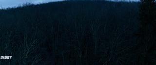 Каратели (2021)